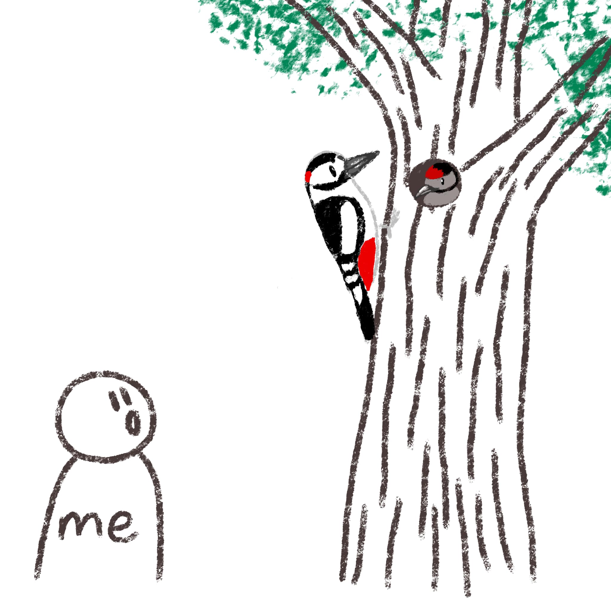 Me looking at a tree